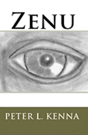 bokomslag Zenu
