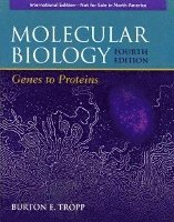 bokomslag Molecular Biology: Genes to Proteins