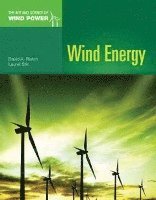 Wind Energy 1