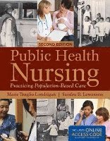 bokomslag Public Health Nursing