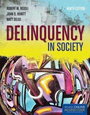 bokomslag Delinquency In Society