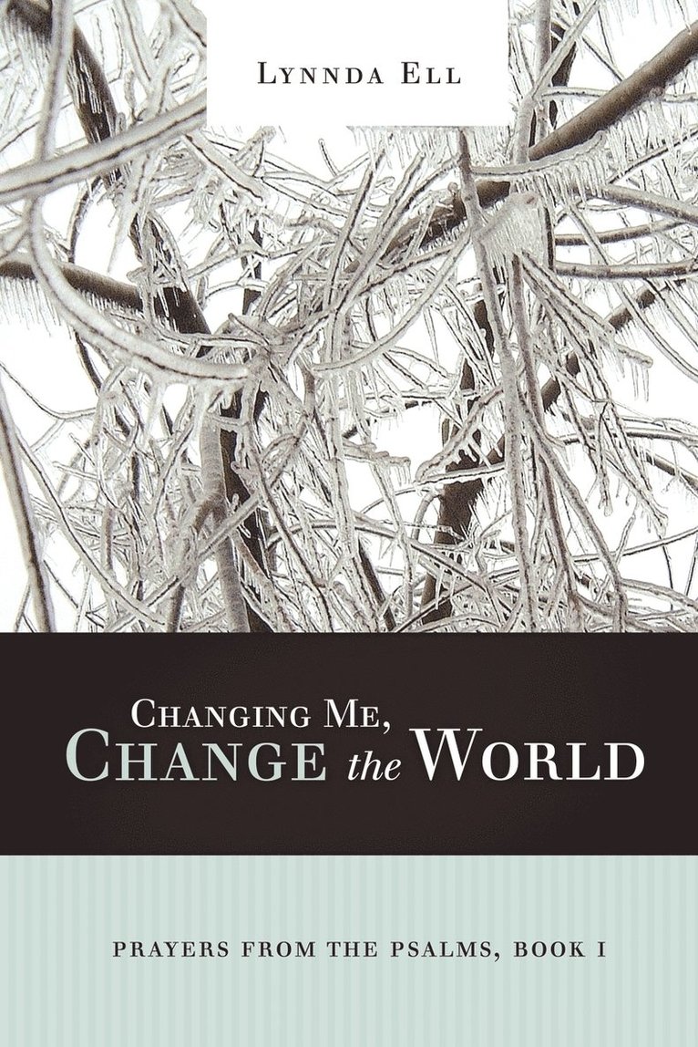 Lynnda Ell - Changing Me, Change the World, Häftad