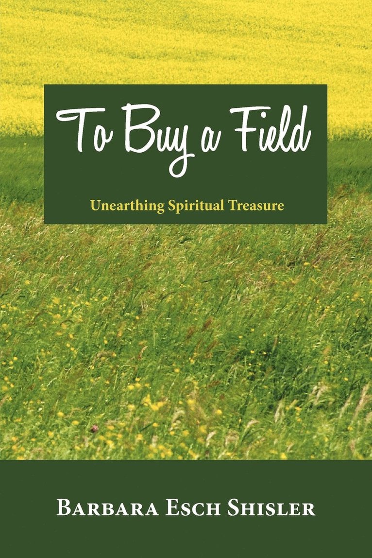 Barbara Esch Shisler - To Buy a Field, Häftad