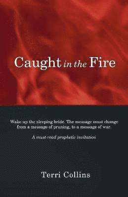 Caught in the Fire 1