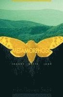 Metamorphosis 1