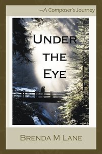 bokomslag Under the Eye
