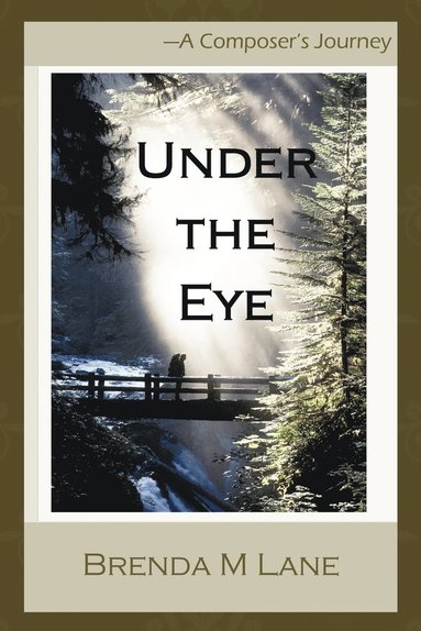 bokomslag Under the Eye