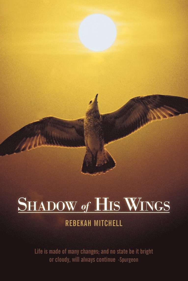 Shadow of His Wings 1