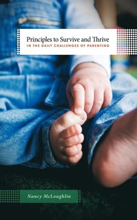 bokomslag Principles to Survive and Thrive in the Daily Challenges of Parenting