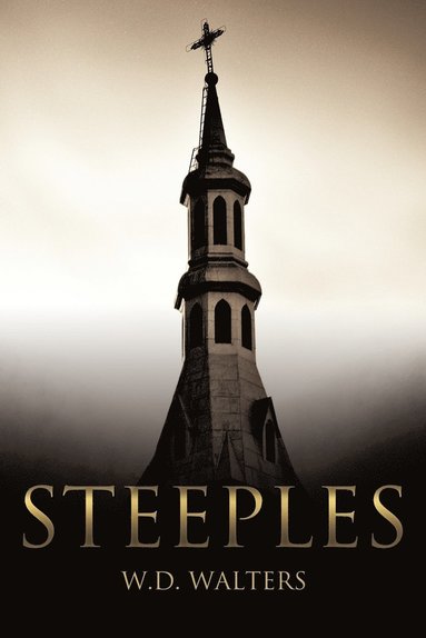 bokomslag Steeples