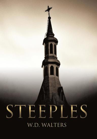 bokomslag Steeples