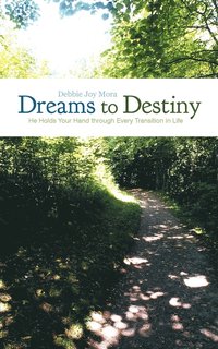 bokomslag Dreams to Destiny