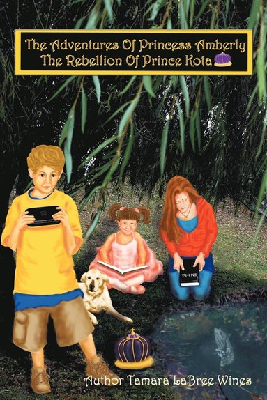 bokomslag Adventures of Princess Amberly