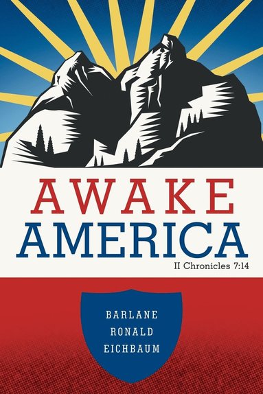 bokomslag Awake America