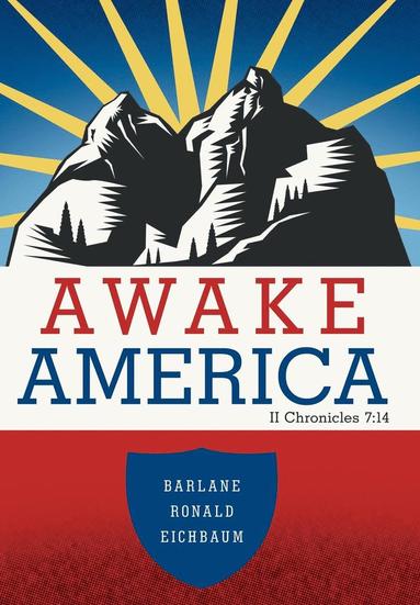 bokomslag Awake America