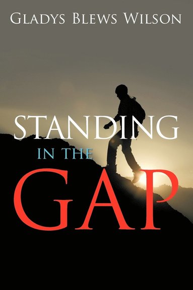 bokomslag Standing in the Gap