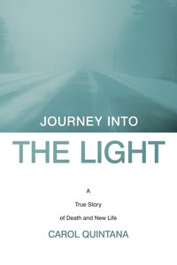 bokomslag Journey into the Light