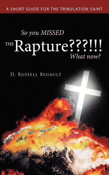 bokomslag So You MISSED the Rapture???!!! What Now?