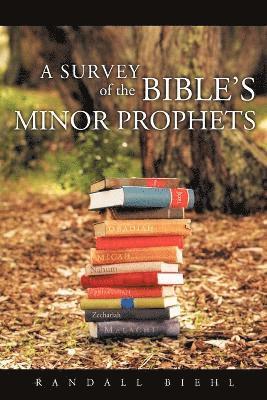 bokomslag Survey of the Bible's Minor Prophets