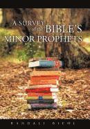 bokomslag A Survey of the Bible's Minor Prophets