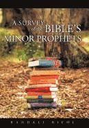 bokomslag Survey of the Bible's Minor Prophets