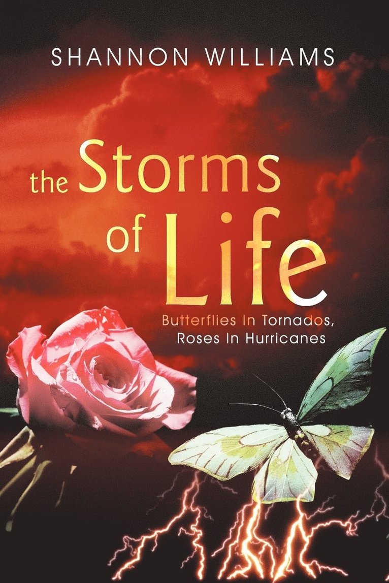 The Storms of Life 1