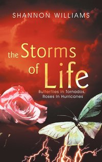 bokomslag The Storms of Life