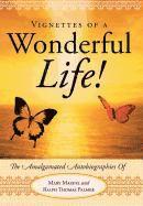 bokomslag Vignettes Of A Wonderful Life!