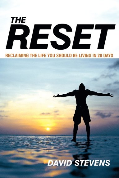 bokomslag Reset