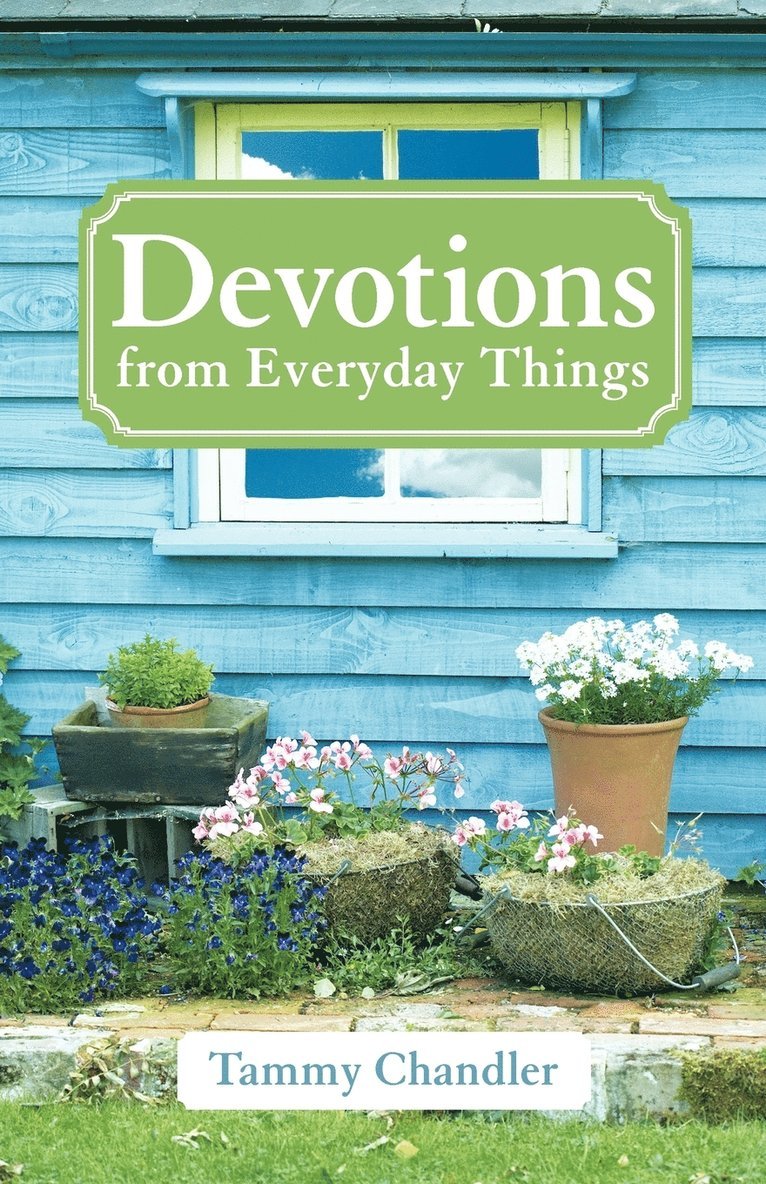 Tammy Chandler - Devotions from Everyday Things, Häftad