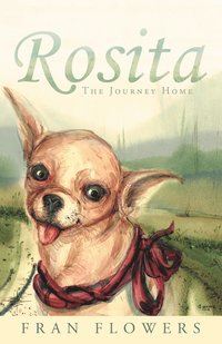 bokomslag Rosita: The Journey Home