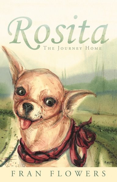 bokomslag Rosita: The Journey Home