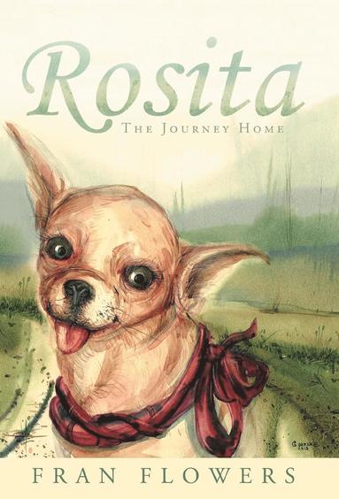 bokomslag Rosita: The Journey Home