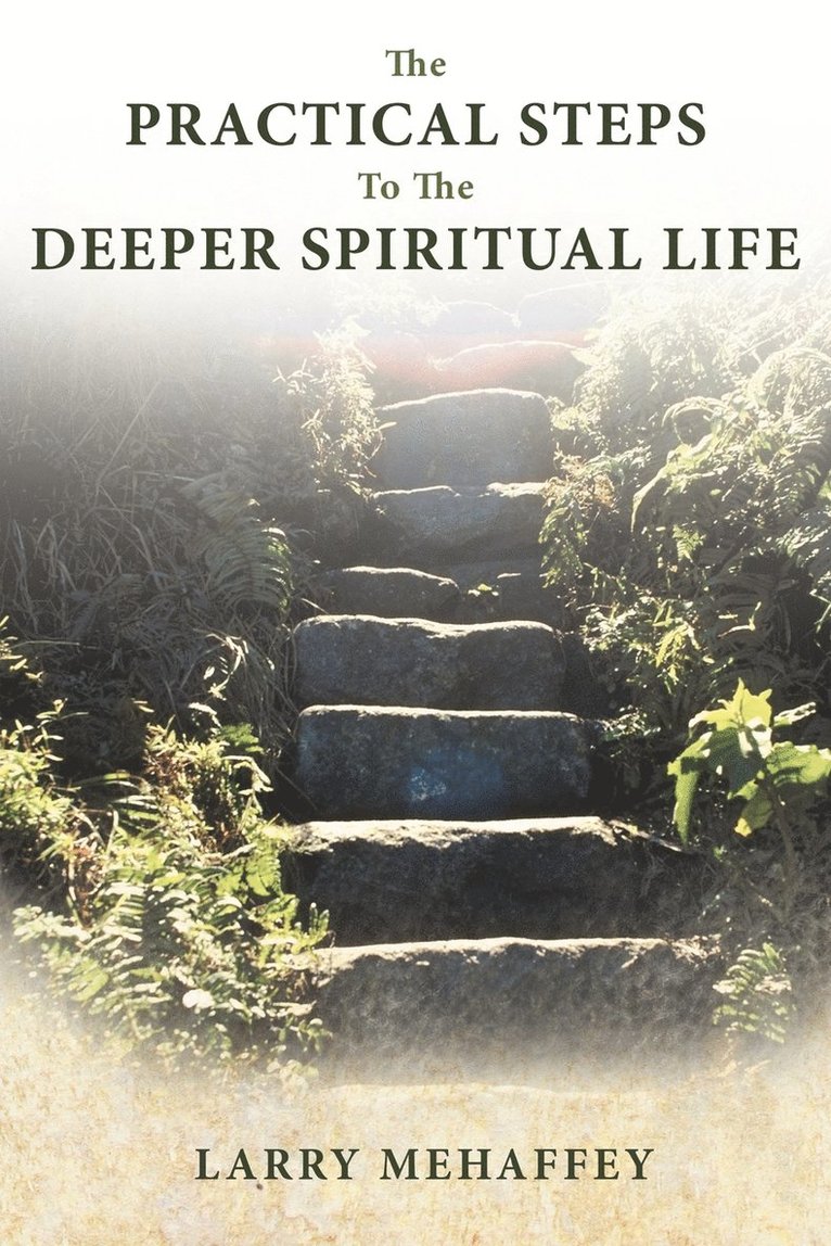 Larry Mehaffey - Practical Steps to the Deeper Spiritual LIfe, Häftad