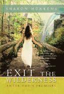 bokomslag Exit the Wilderness