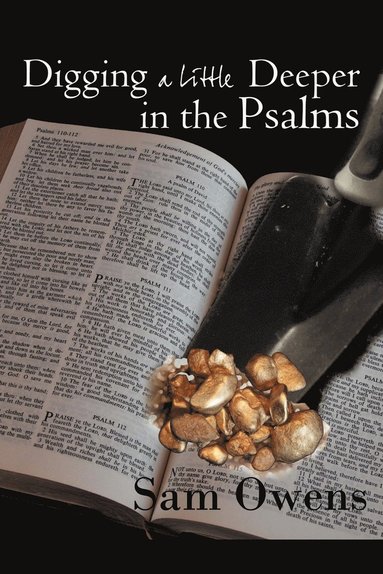 bokomslag Digging A Little Deeper in the Psalms