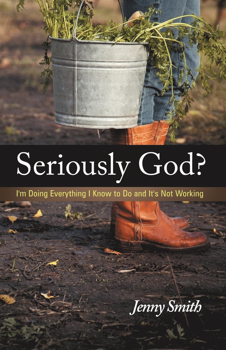 Jenny Smith - Seriously God?, Häftad