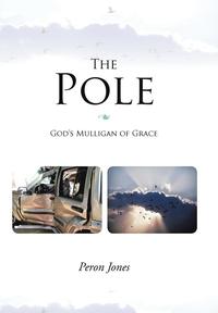 bokomslag The Pole