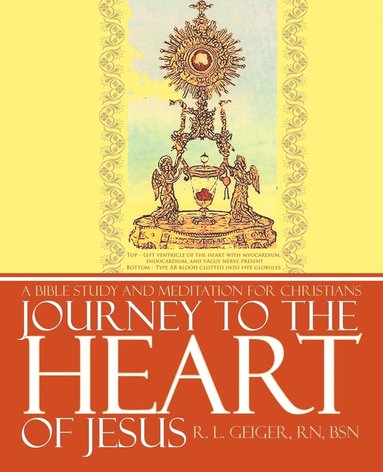 bokomslag Journey to the Heart of Jesus