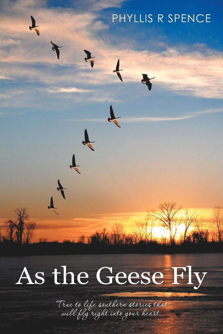 As the Geese Fly 1