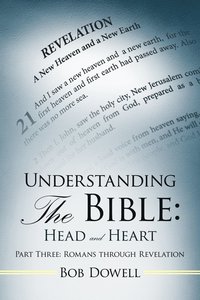 bokomslag Understanding the Bible