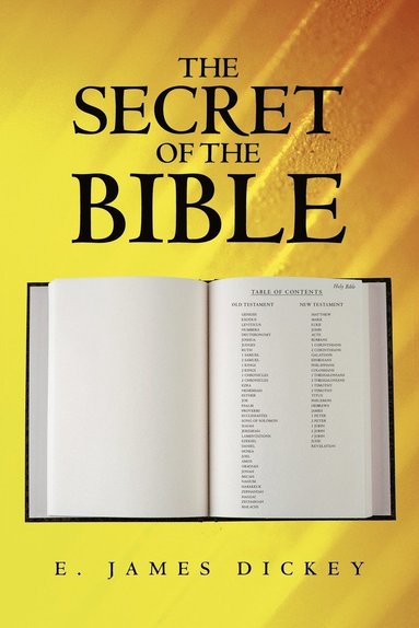 bokomslag Secret of the Bible