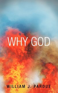 bokomslag Why God