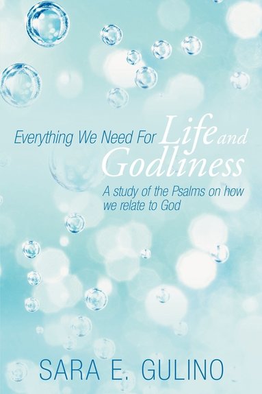 bokomslag Everything We Need For Life and Godliness