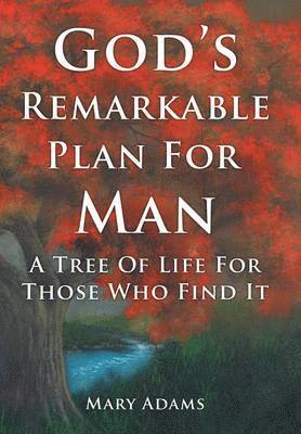 bokomslag God's Remarkable Plan For Man