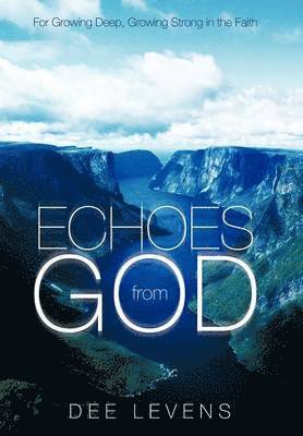 bokomslag Echoes from God