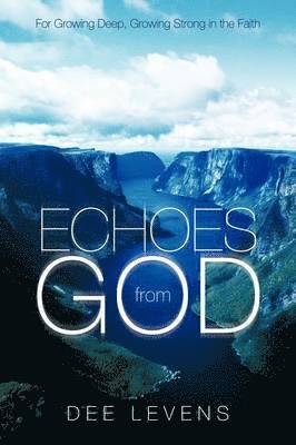 bokomslag Echoes from God