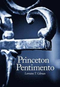 bokomslag Princeton Pentimento