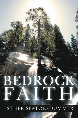 bokomslag Bedrock Faith