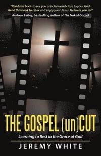 bokomslag The Gospel Uncut